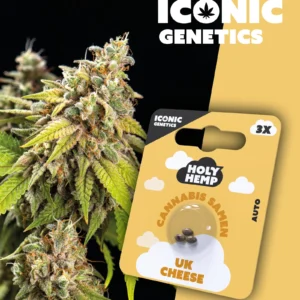 Iconic Genetics - UK Cheese (3 Cannabis Samen)